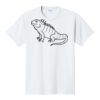 PC450 - Port and Company Fan Favorite Tee  Thumbnail