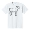 PC450 - Port and Company Fan Favorite Tee  Thumbnail