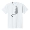 PC450 - Port and Company Fan Favorite Tee PC450 - Port and Company Fan Favorite Tee Thumbnail