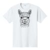 PC450 - Port and Company Fan Favorite Tee  Thumbnail