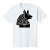 PC450 - Port and Company Fan Favorite Tee  Thumbnail