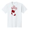 PC450 - Port and Company Fan Favorite Tee  Thumbnail