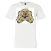 3001 - Bella Canvas Premium Ring Spun Cotton T-shirts Thumbnail