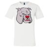 3001 - Bella Canvas Premium Ring Spun Cotton T-shirts Thumbnail