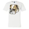 3001 - Bella Canvas Premium Ring Spun Cotton T-shirts Thumbnail