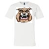 3001 - Bella Canvas Premium Ring Spun Cotton T-shirts Thumbnail