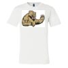 3001 - Bella Canvas Premium Ring Spun Cotton T-shirts Thumbnail