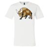 3001 - Bella Canvas Premium Ring Spun Cotton T-shirts Thumbnail