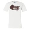 3001 - Bella Canvas Premium Ring Spun Cotton T-shirts Thumbnail