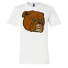 3001 - Bella Canvas Premium Ring Spun Cotton T-shirts Thumbnail