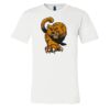 3001 - Bella Canvas Premium Ring Spun Cotton T-shirts Thumbnail