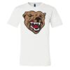 3001 - Bella Canvas Premium Ring Spun Cotton T-shirts Thumbnail