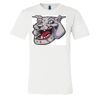 3001 - Bella Canvas Premium Ring Spun Cotton T-shirts Thumbnail