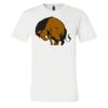 3001 - Bella Canvas Premium Ring Spun Cotton T-shirts Thumbnail