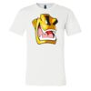 3001 - Bella Canvas Premium Ring Spun Cotton T-shirts Thumbnail
