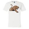 3001 - Bella Canvas Premium Ring Spun Cotton T-shirts Thumbnail