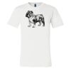 3001 - Bella Canvas Premium Ring Spun Cotton T-shirts Thumbnail