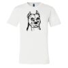 3001 - Bella Canvas Premium Ring Spun Cotton T-shirts Thumbnail