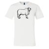 3001 - Bella Canvas Premium Ring Spun Cotton T-shirts Thumbnail