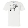 3001 - Bella Canvas Premium Ring Spun Cotton T-shirts Thumbnail