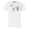 3001 - Bella Canvas Premium Ring Spun Cotton T-shirts Thumbnail