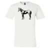 3001 - Bella Canvas Premium Ring Spun Cotton T-shirts Thumbnail