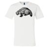 3001 - Bella Canvas Premium Ring Spun Cotton T-shirts Thumbnail