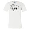 3001 - Bella Canvas Premium Ring Spun Cotton T-shirts Thumbnail