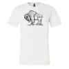 3001 - Bella Canvas Premium Ring Spun Cotton T-shirts Thumbnail