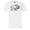 3001 - Bella Canvas Premium Ring Spun Cotton T-shirts Thumbnail