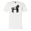 3001 - Bella Canvas Premium Ring Spun Cotton T-shirts Thumbnail
