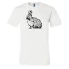 3001 - Bella Canvas Premium Ring Spun Cotton T-shirts Thumbnail