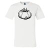 3001 - Bella Canvas Premium Ring Spun Cotton T-shirts Thumbnail