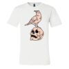 3001 - Bella Canvas Premium Ring Spun Cotton T-shirts Thumbnail