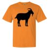 1717 - Comfort Colors Garment Dyed Heavyweight Short Sleeve Shirt 1717 - Comfort Colors Garment Dyed Heavyweight Short Sleeve Shirt Thumbnail
