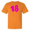 1717 - Comfort Colors Garment Dyed Heavyweight Short Sleeve Shirt Thumbnail