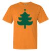 1717 - Comfort Colors Garment Dyed Heavyweight Short Sleeve Shirt 1717 - Comfort Colors Garment Dyed Heavyweight Short Sleeve Shirt Thumbnail