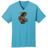 PC54V - Best Value 100% Cotton V-Neck Tee Thumbnail
