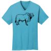 PC54V - Best Value 100% Cotton V-Neck Tee Thumbnail