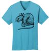 PC54V - Best Value 100% Cotton V-Neck Tee Thumbnail