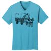 PC54V - Best Value 100% Cotton V-Neck Tee Thumbnail