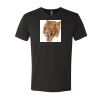 6010 - Next Level Unisex Tri-blend Short Sleeve T-shirt Thumbnail