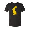 6010 - Next Level Unisex Tri-blend Short Sleeve T-shirt Thumbnail