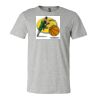 3001CVC - Bella Canvas - 50/50 Blend Short Sleeve T-shirt Thumbnail